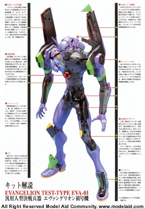 PG Evangelion Eva-01 Test Type (Bandai Non Scale)