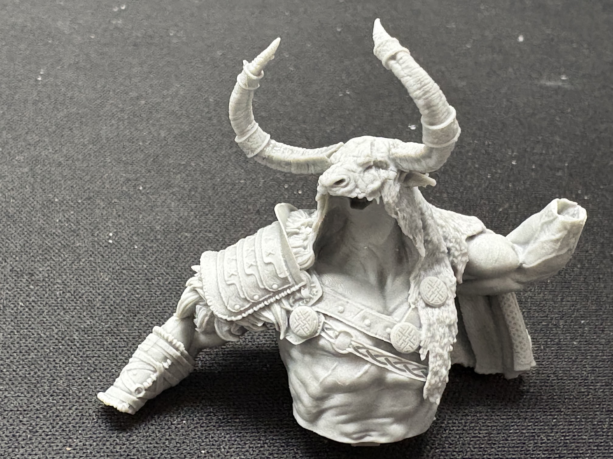 Voljaryk - The First Sköldungar (Black Forge Games 80mm)