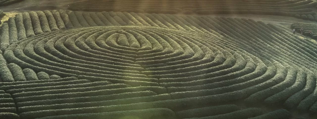 404: PAGE NOT FOUND (페이지 주소가 바뀌었습니다)