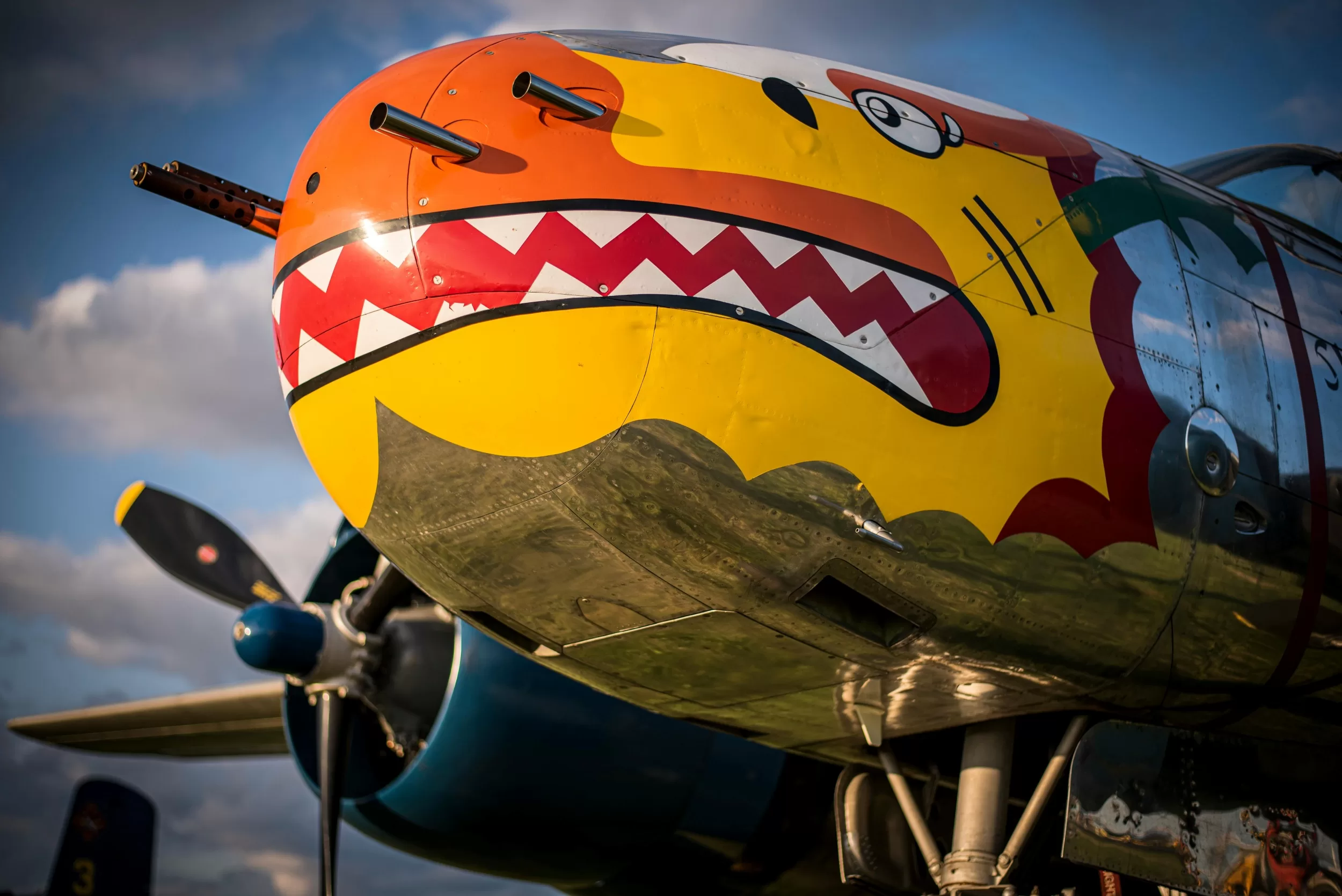 Aiaplane nose art
