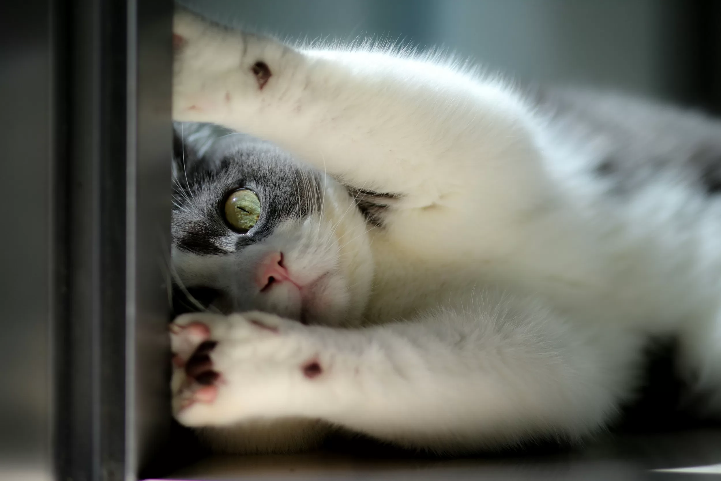 C1. Work Station - 구상 C1. Work Station - 구상